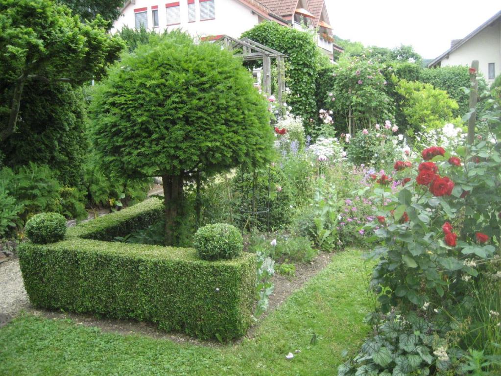 Buchs und Eiben lassen sich ausgezeichnet in jede